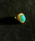 Anillo Oasis